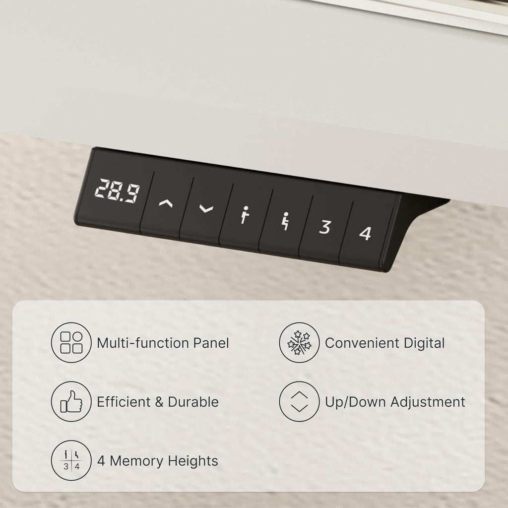 EN1 Electric Standing Desk 48x24 Inches White Frame