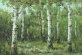 Original Oil Painting of Birch Trees