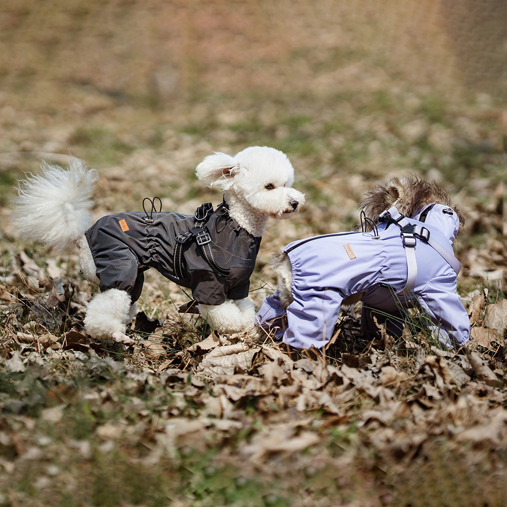 Fashion Personality Dog Pet One-piece Raincoat