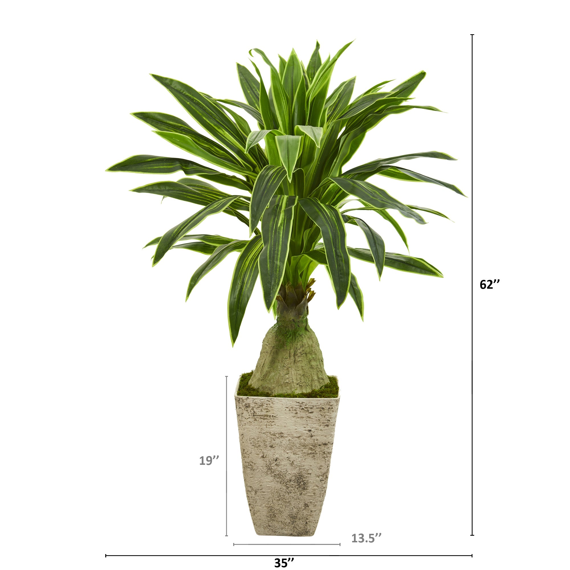 62" Dracaena Artificial Plant in Country White Planter