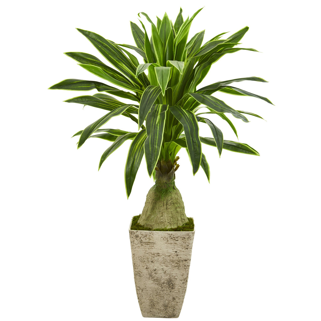 62" Dracaena Artificial Plant in Country White Planter