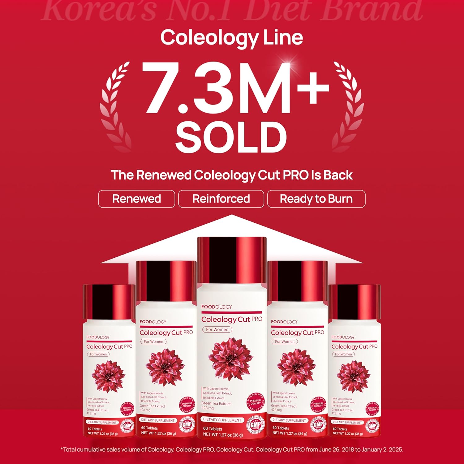 Foodology Coleology Cutting Pro