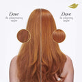 Dove Avocado Shampoo 375 ml 375ml