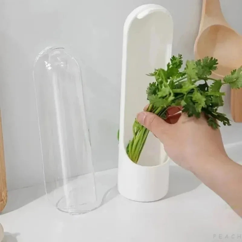 Vanilla Dust-proof Vegetable Fresh-keeping Box Anti-pressure Eco-Friendly Fresh-Keeping Device Creative Kitchen Storage Solution