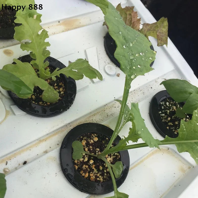 25 Pieces Of Hydroponic Baskets For Soilless Cultivation Of Garden Vegetables, Aeroponics Plastic Planting Mesh Pots