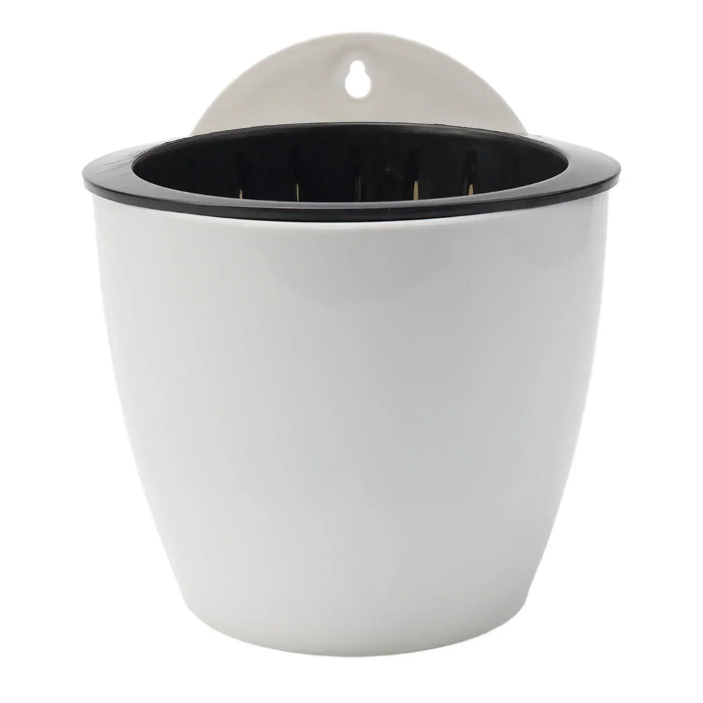 Wall-Mounted Plastic Potted Plant Flowerpot Creative Automatic Water-Absorbing Wall Hanging Home Flower Pot Wall Decoration