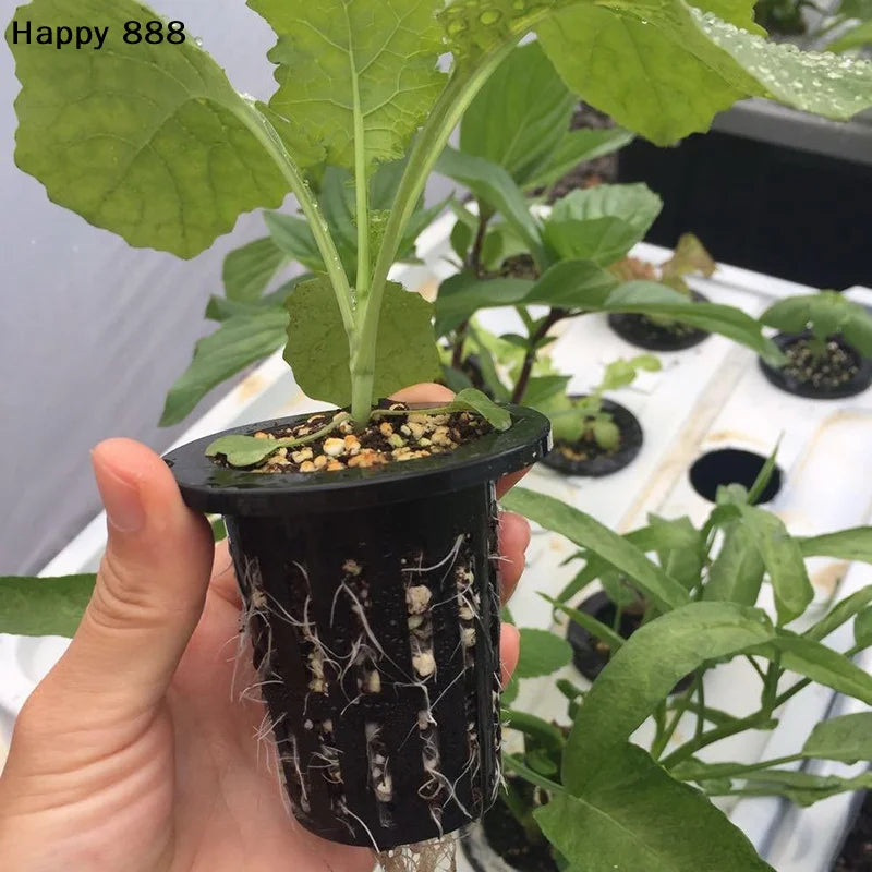 25 Pieces Of Hydroponic Baskets For Soilless Cultivation Of Garden Vegetables, Aeroponics Plastic Planting Mesh Pots