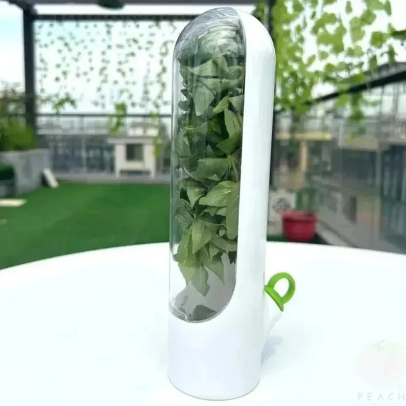 Vanilla Dust-proof Vegetable Fresh-keeping Box Anti-pressure Eco-Friendly Fresh-Keeping Device Creative Kitchen Storage Solution