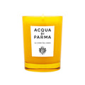 Acqua di Parma La Casa Sul Lago Candle 6.7 OZ