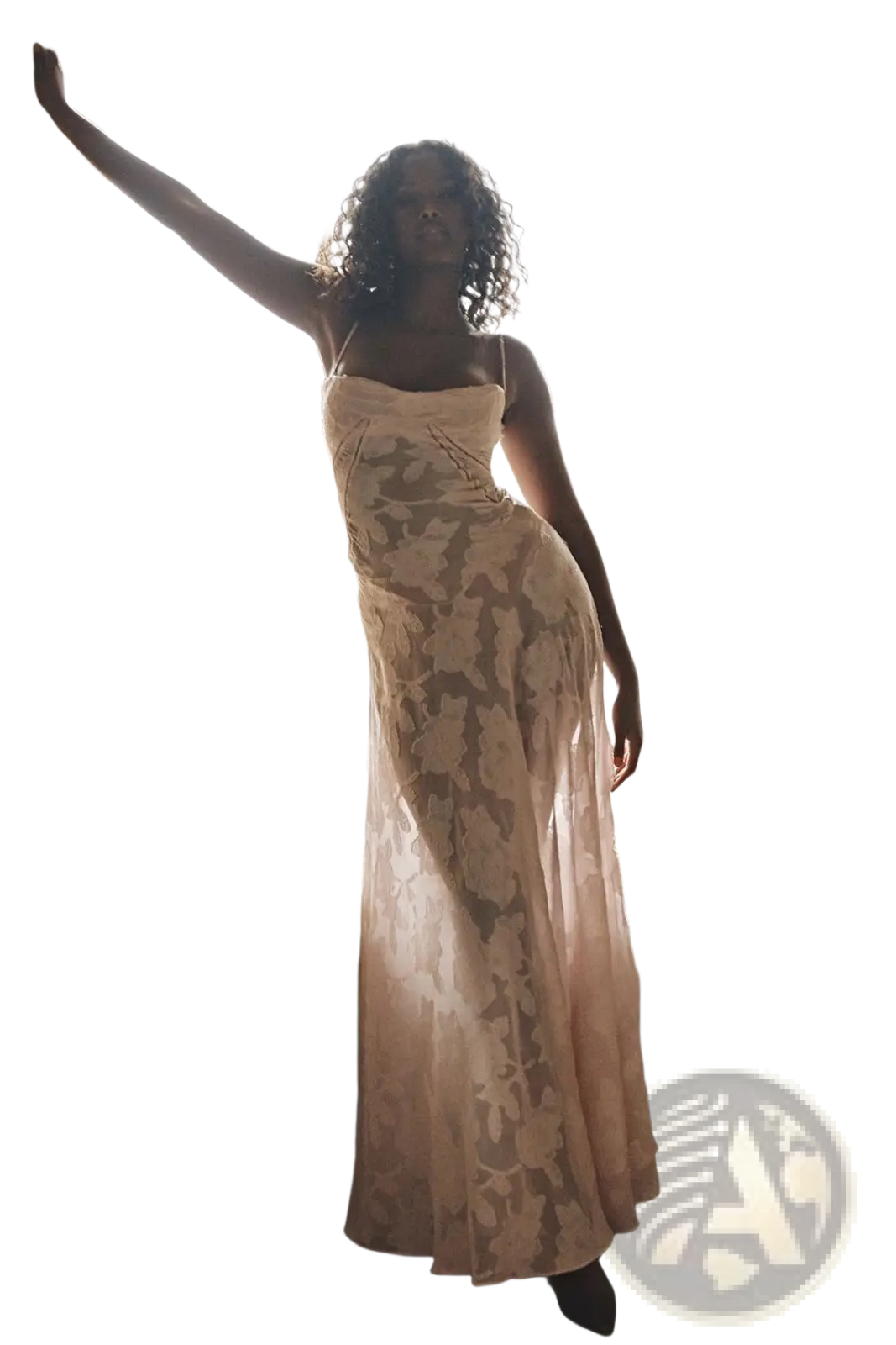 Floral Lace Backless Maxi Party Dress