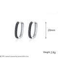 French Black Zircon Silver Hoop Earrings