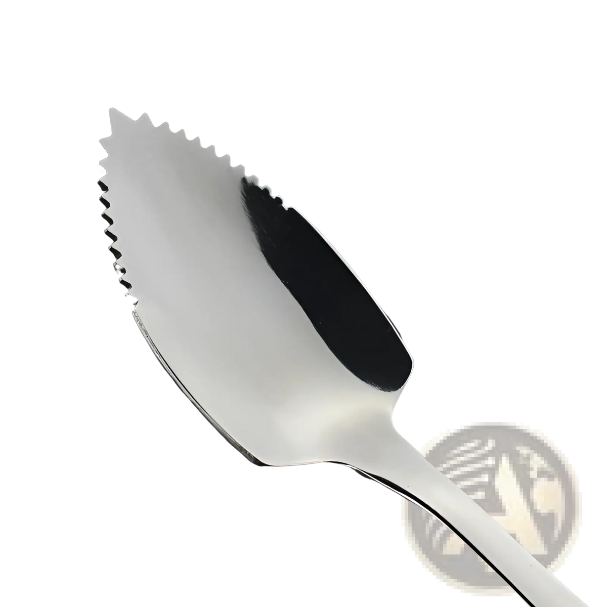 Grapefruit Spoon Stainless Steel Serrated Fruit Scraper