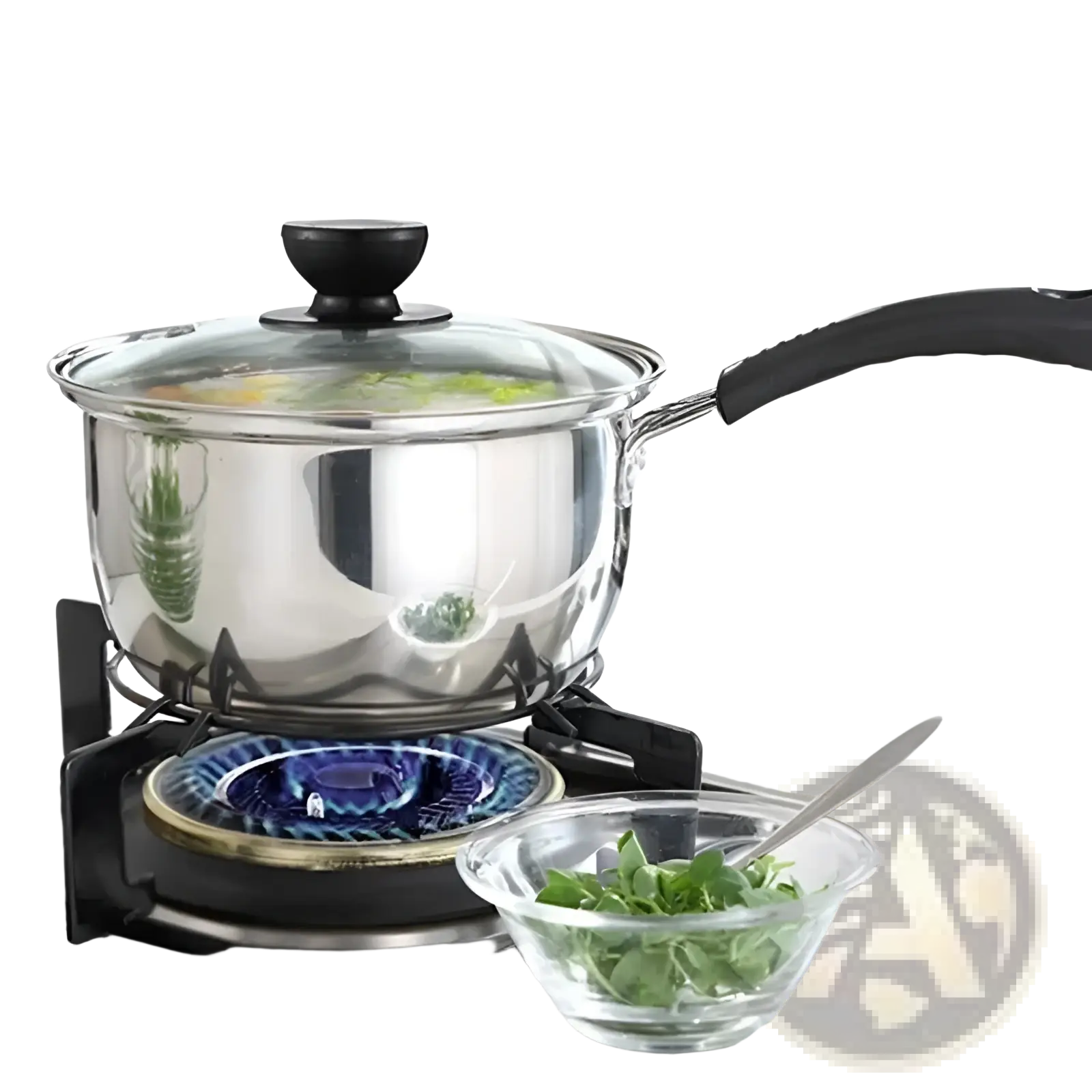 Induction Stainless Steel Cookware Set with Glass Lids