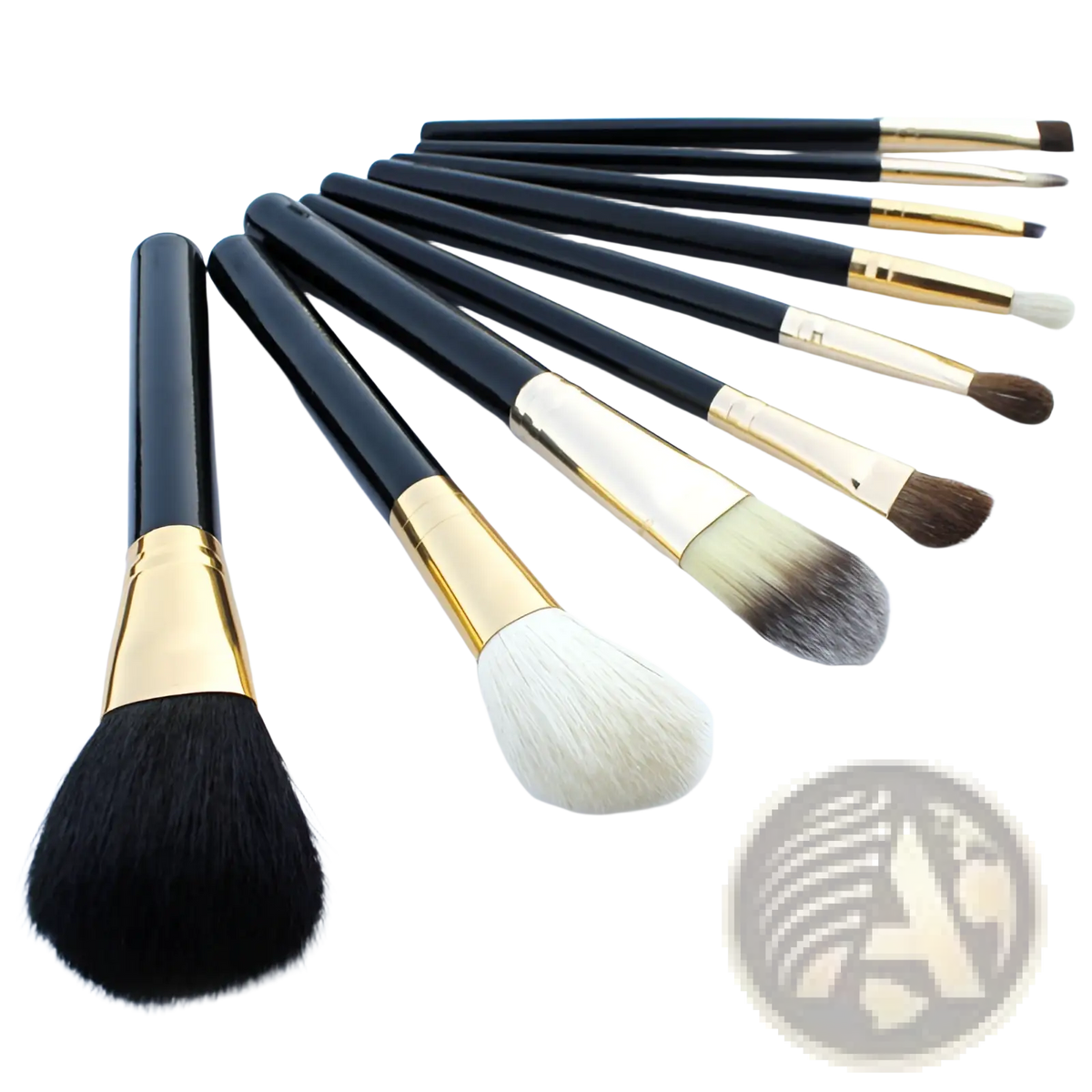 Makeup Brush Set 10 Piece Gold and Black with Case