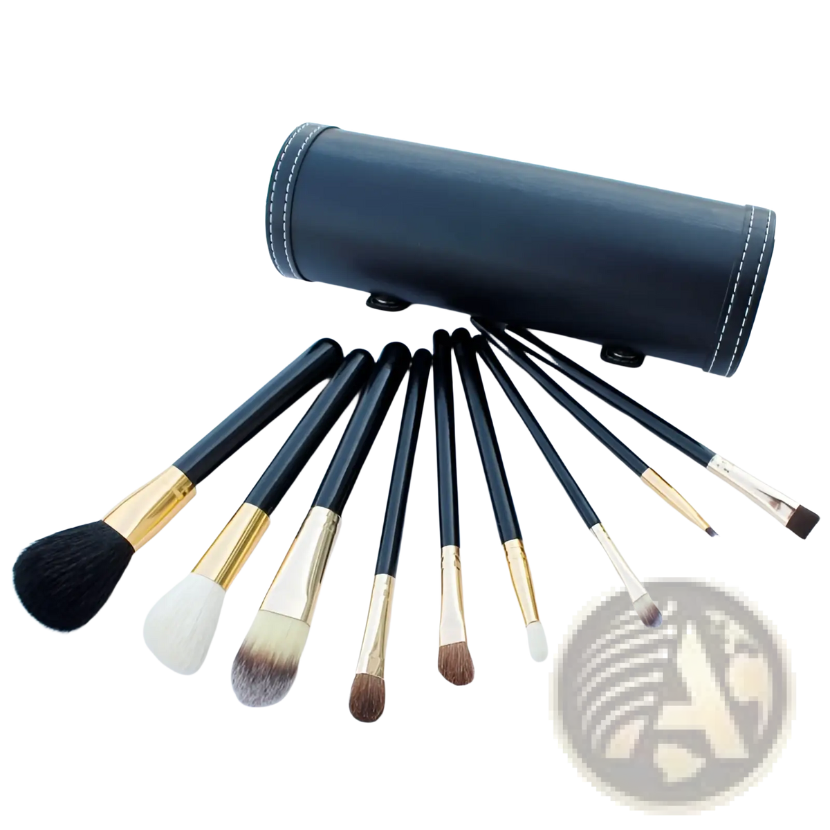 Makeup Brush Set 10 Piece Gold and Black with Case