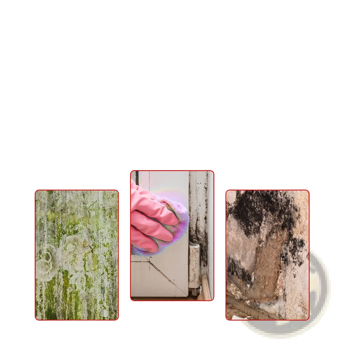 Mold Removal Gel Bathroom Tile and Wall Cleaner 120g