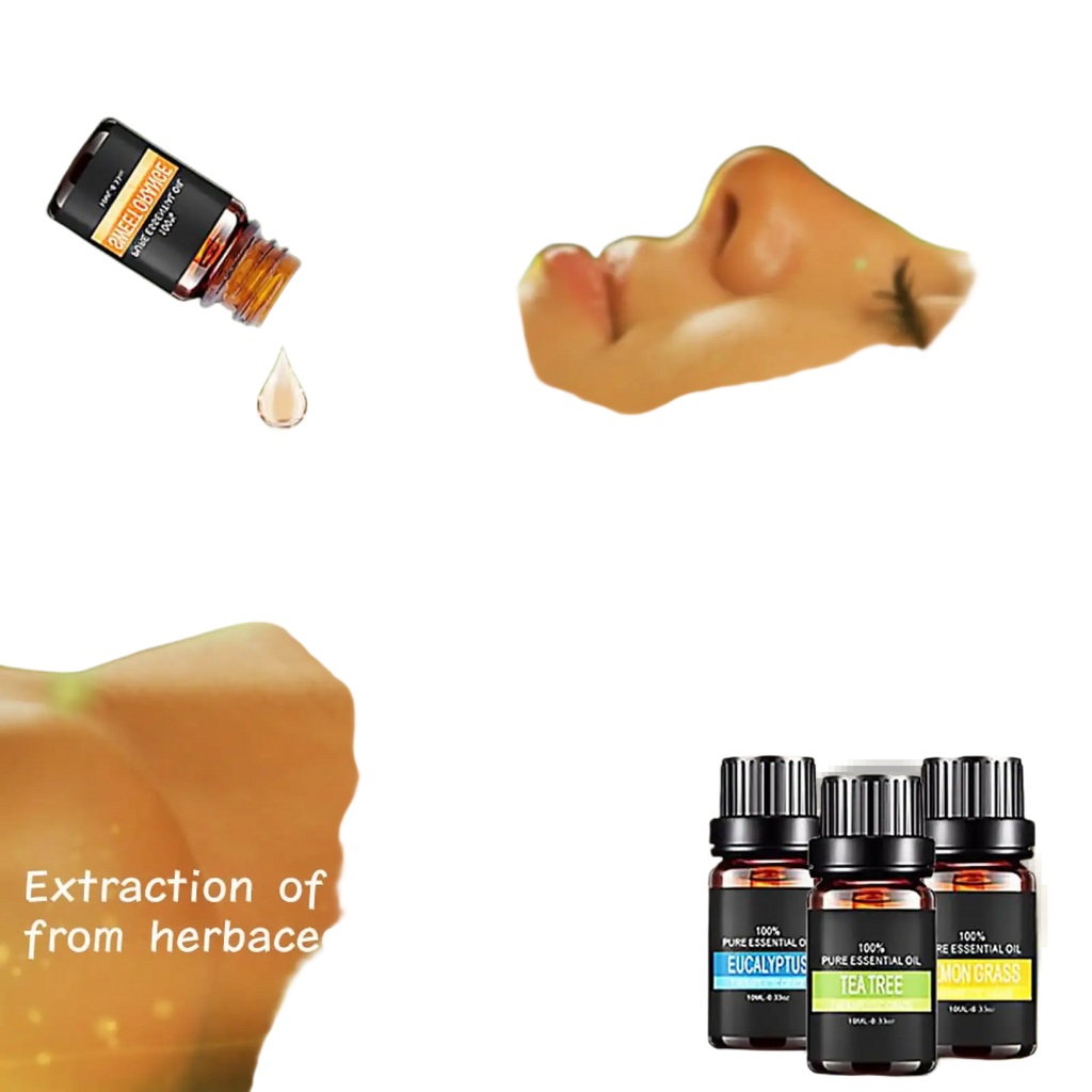Organic Essential Oils Set 10ml Aromatherapy Gift Kit