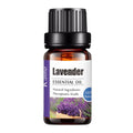 Sage Essential Oil 10ml Pure Aroma Diffuser Liquid