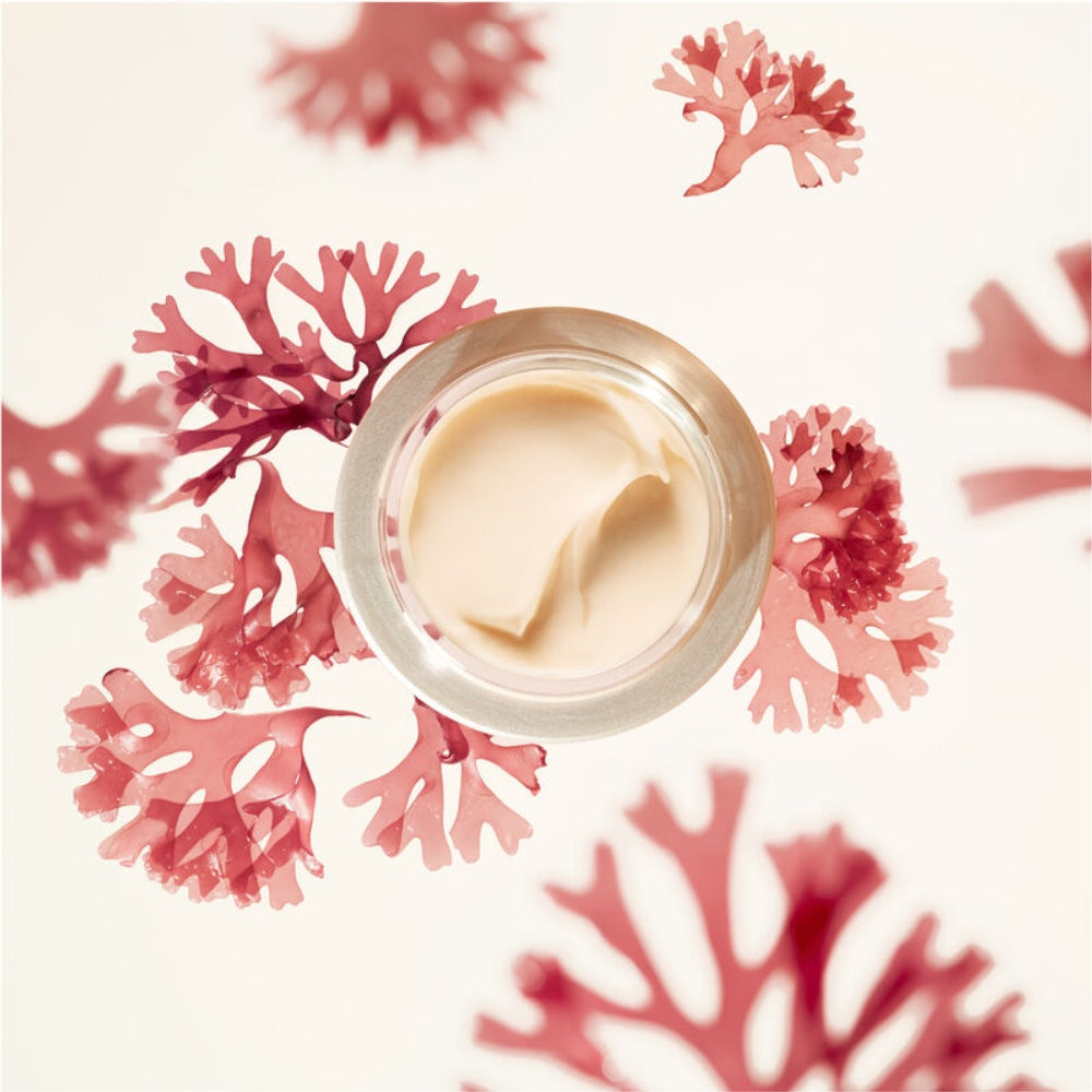 Shiseido Benefiance Wrinkle Smoothing Cream Enriched