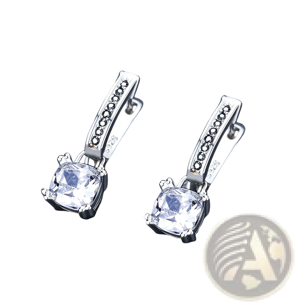 Square Zircon and Black Diamond Silver Drop Earrings