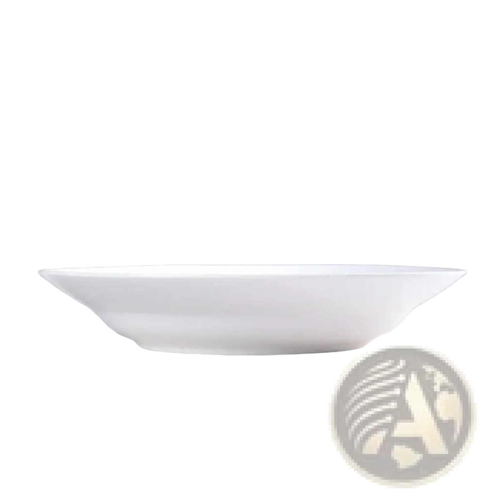 White Dinner Plates Set of 6 Ceramic 9.5 Inch Bowls