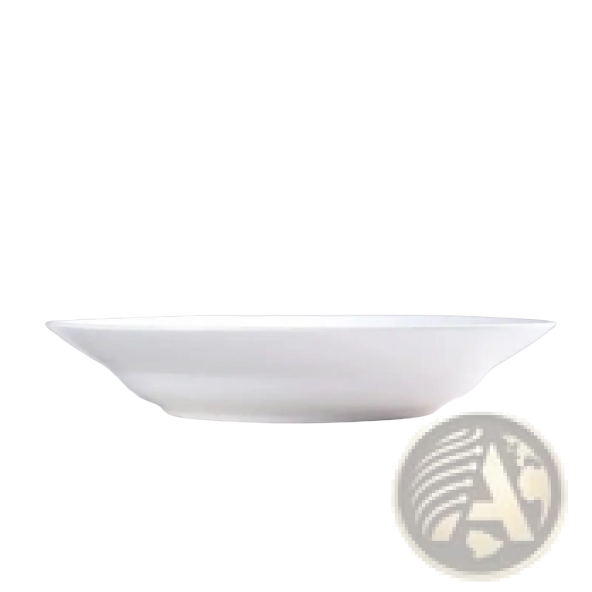 White Dinner Plates Set of 6 Ceramic 9.5 Inch Bowls