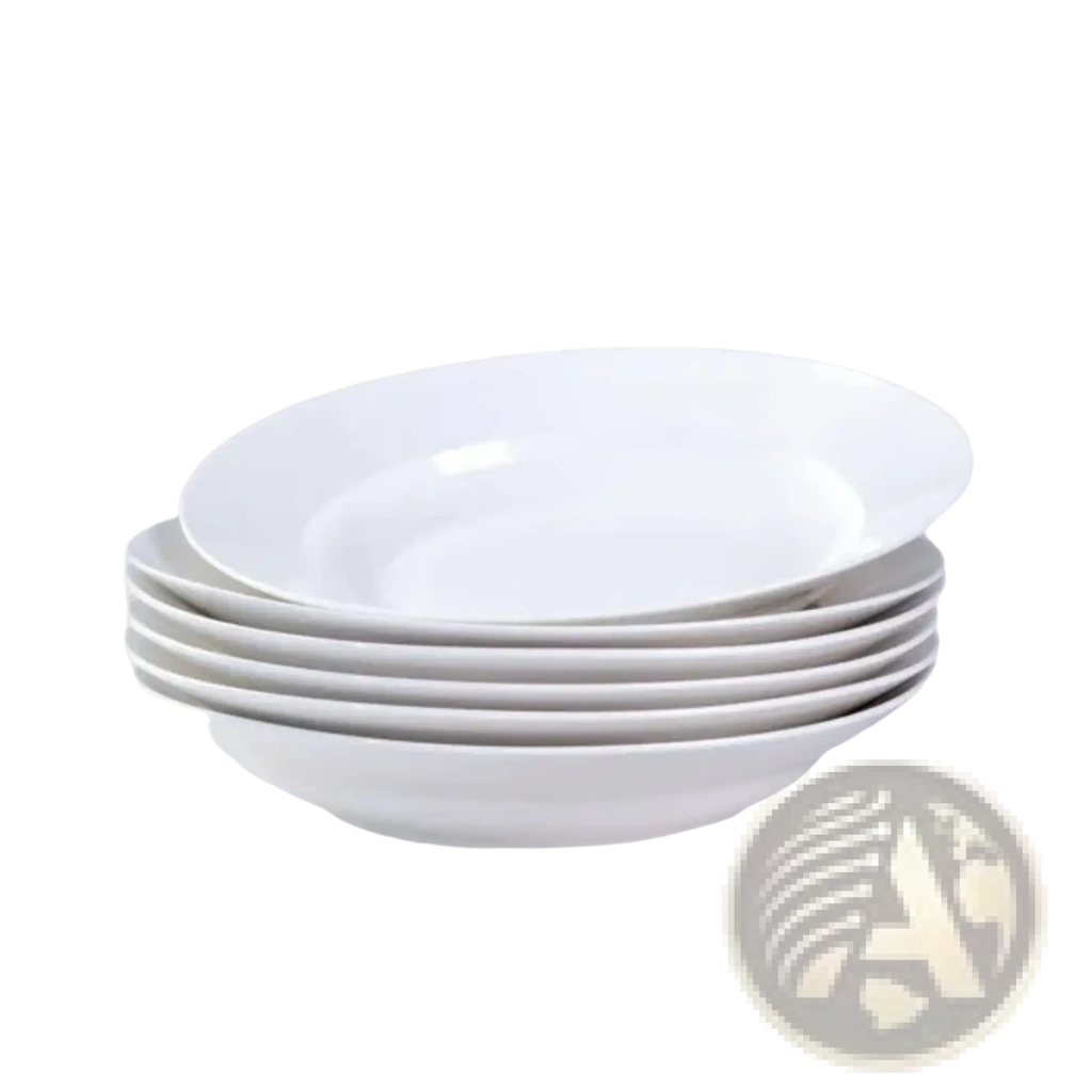 White Dinner Plates Set of 6 Ceramic 9.5 Inch Bowls