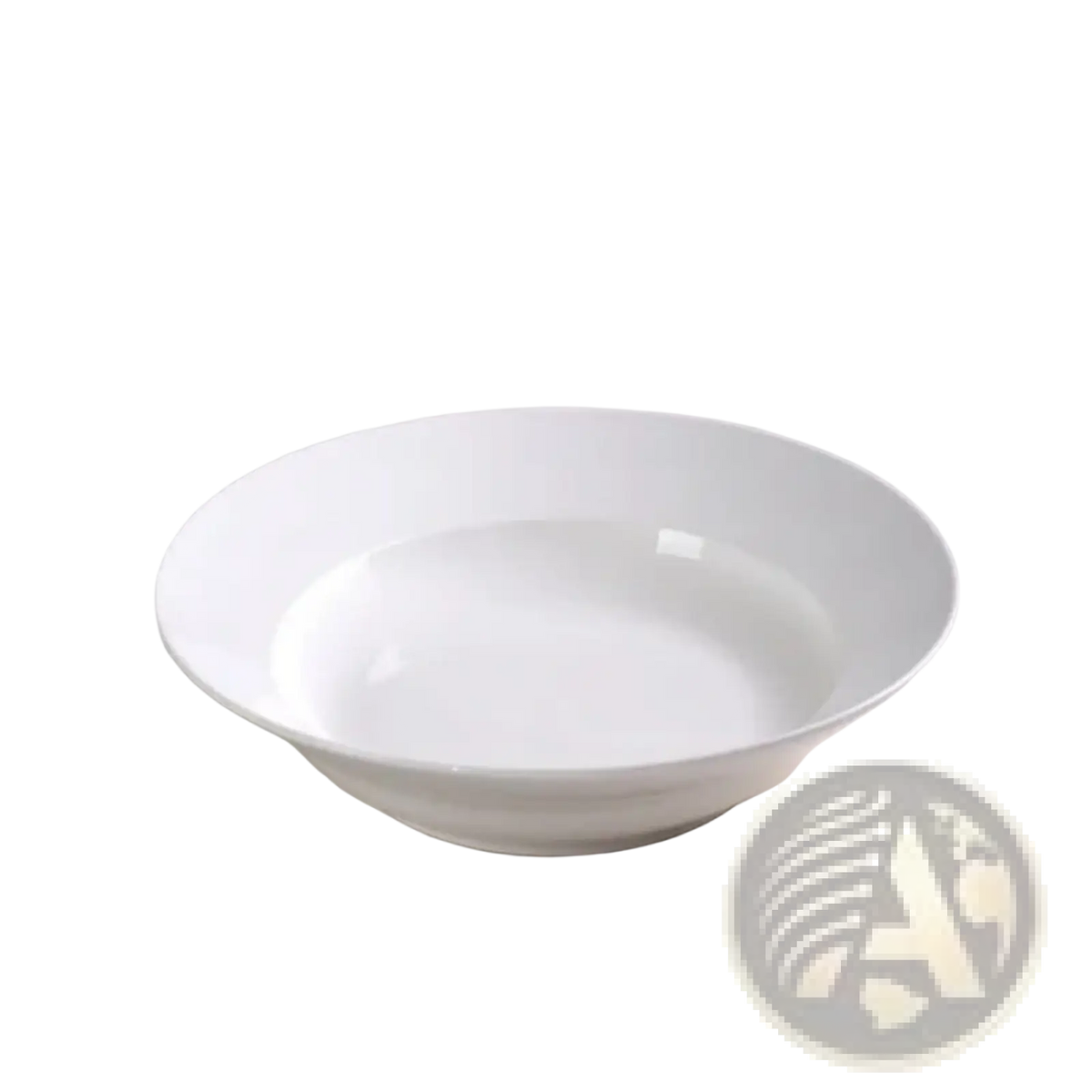 White Dinner Plates Set of 6 Ceramic 9.5 Inch Bowls