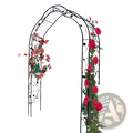 White Metal Garden Arch for Climbing Roses and Plants