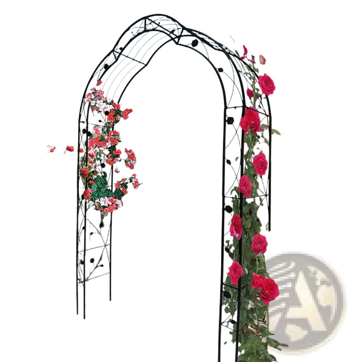 White Metal Garden Arch for Climbing Roses and Plants