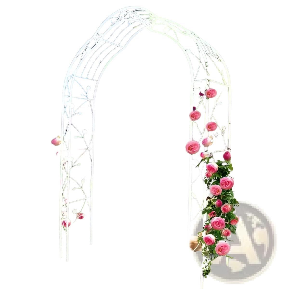 White Metal Garden Arch for Climbing Roses and Plants